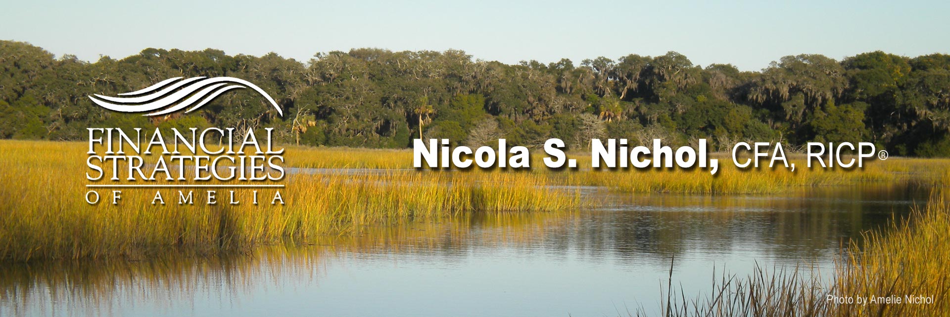 Financial Strategies of Amelia